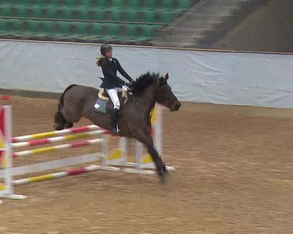 Reitturnier Kreuth 2023