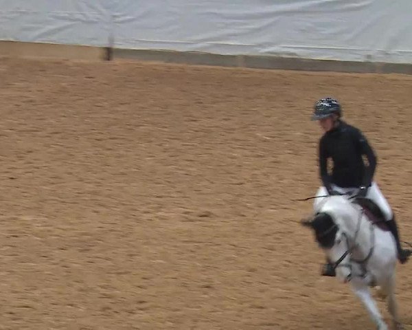 Reitturnier Kreuth 2023