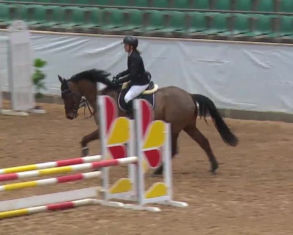 Reitturnier Kreuth 2023