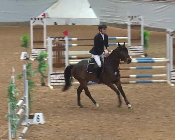 Reitturnier Kreuth 2023