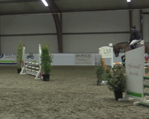 Reitturnier Barlo-Bocholt 2023