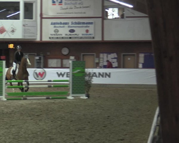 Reitturnier Barlo-Bocholt 2023