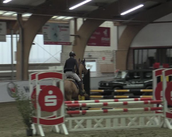 Reitturnier Barlo-Bocholt 2023