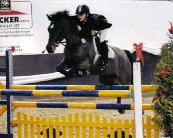 jumper Pamenia (German Riding Pony, 1998, from FS Pavarotti)