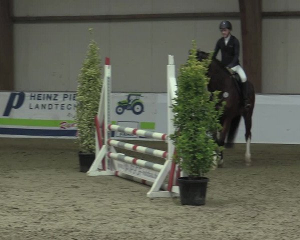 Reitturnier Barlo-Bocholt 2023