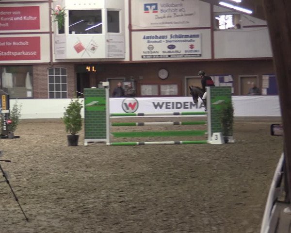 Reitturnier Barlo-Bocholt 2023