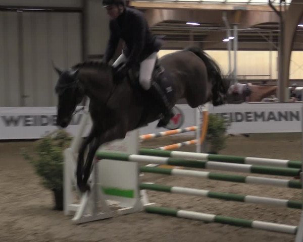 Reitturnier Barlo-Bocholt 2023
