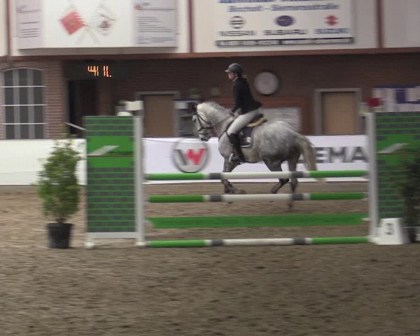Reitturnier Barlo-Bocholt 2023