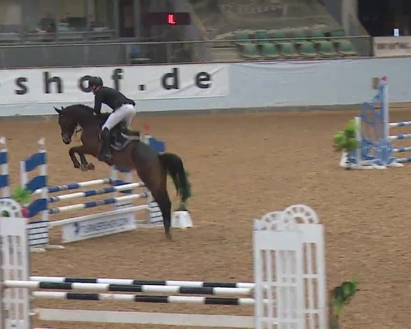 Reitturnier Kreuth 2023