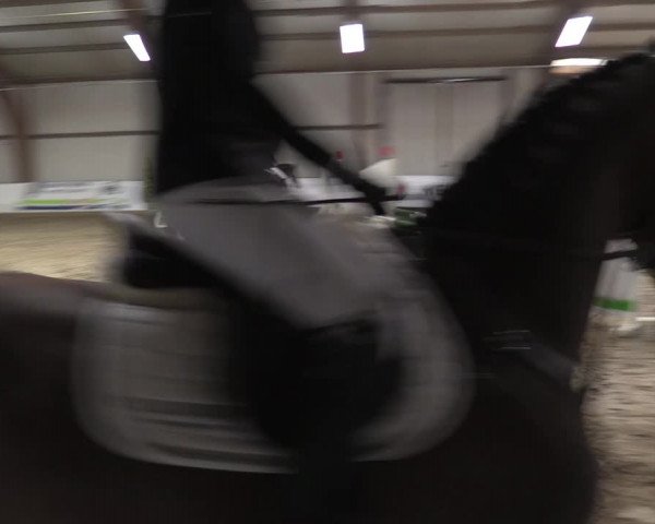 Reitturnier Barlo-Bocholt 2023