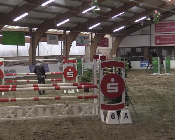 Reitturnier Barlo-Bocholt 2023