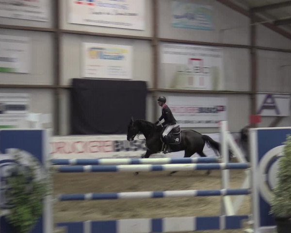 Reitturnier Barlo-Bocholt 2023