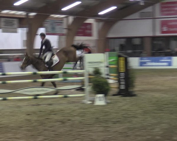 Reitturnier Barlo-Bocholt 2023