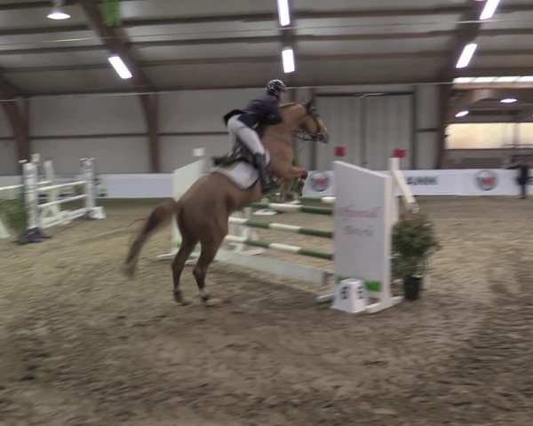 Reitturnier Barlo-Bocholt 2023