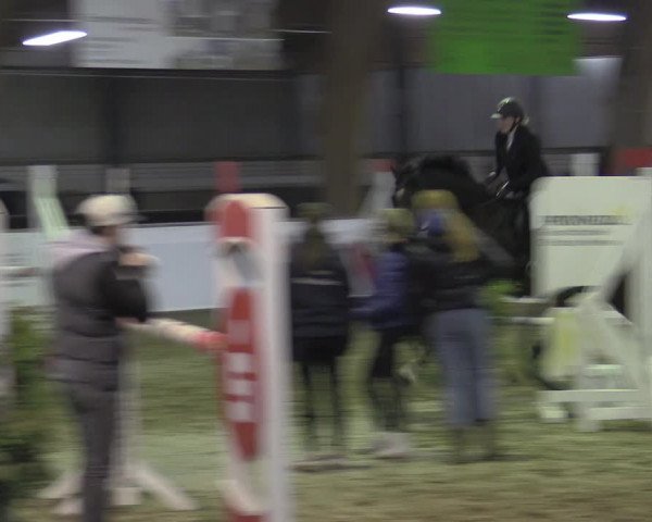 Reitturnier Barlo-Bocholt 2023