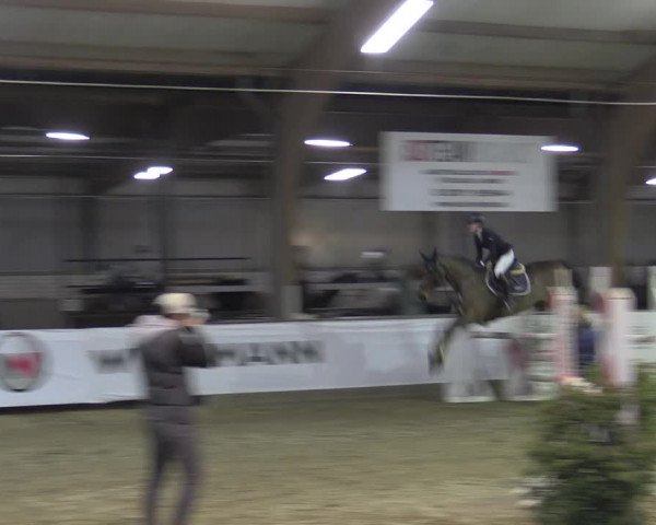 Reitturnier Barlo-Bocholt 2023