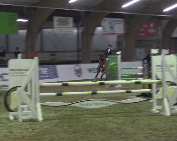 Reitturnier Barlo-Bocholt 2023