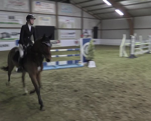 Reitturnier Barlo-Bocholt 2023