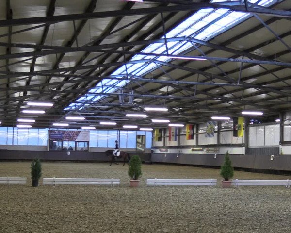 Reitturnier Bochum-Nord 2023