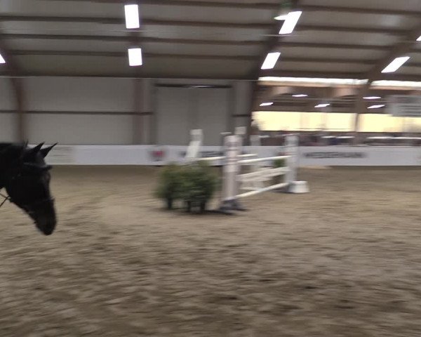 Reitturnier Barlo-Bocholt 2023