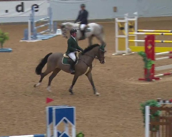 Reitturnier Kreuth 2023