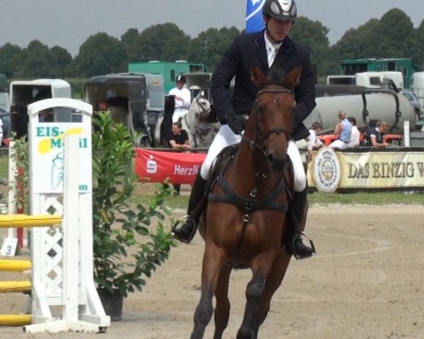 horse Silver-Star (Westphalian, 1998, from Saint Tropez)