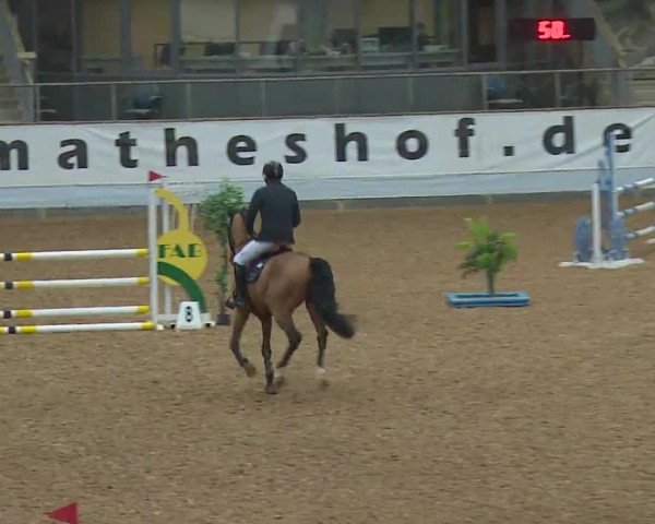 Reitturnier Kreuth 2023