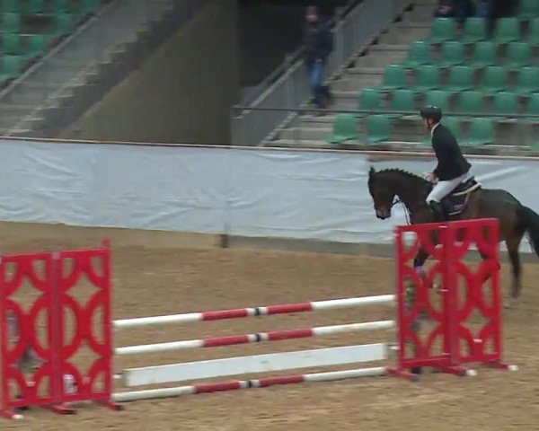 Reitturnier Kreuth 2023
