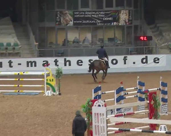 Reitturnier Kreuth 2023