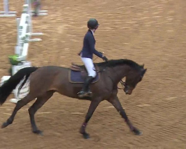 Reitturnier Kreuth 2023
