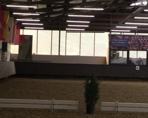 Reitturnier Bochum-Nord 2023