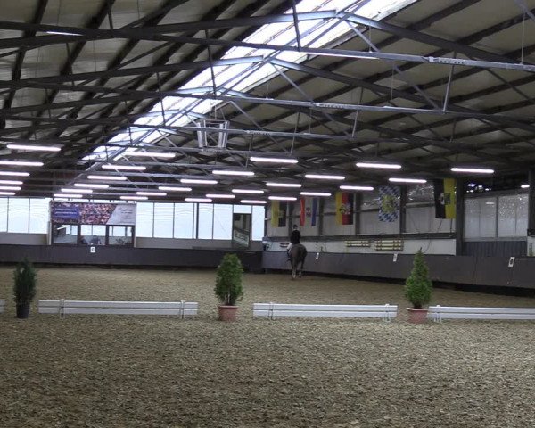 Reitturnier Bochum-Nord 2023
