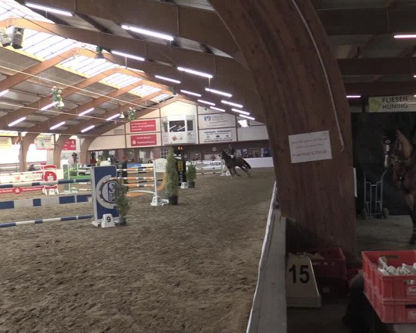 Reitturnier Barlo-Bocholt 2023