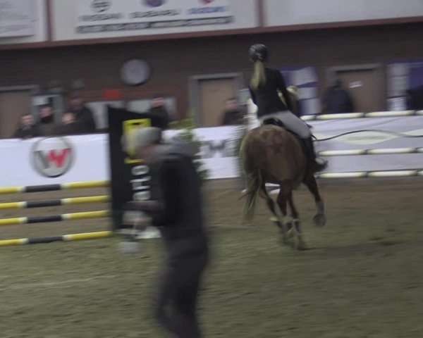 Reitturnier Barlo-Bocholt 2023