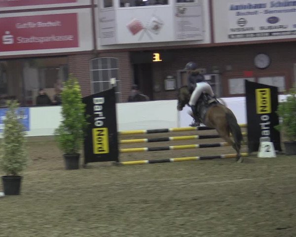 Reitturnier Barlo-Bocholt 2023
