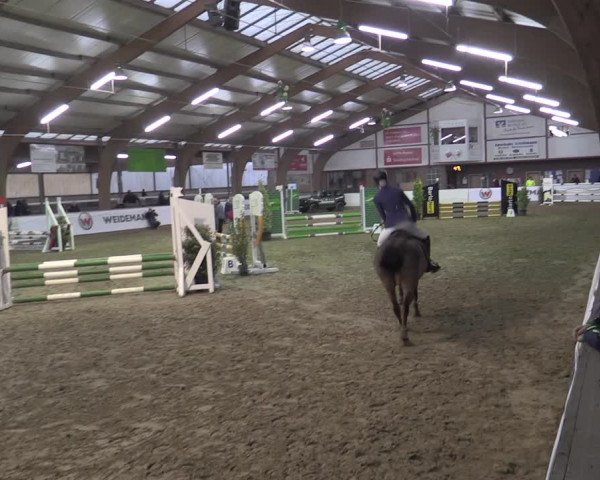 Reitturnier Barlo-Bocholt 2023