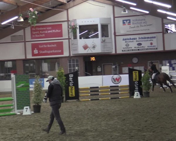 Reitturnier Barlo-Bocholt 2023