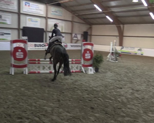 Reitturnier Barlo-Bocholt 2023