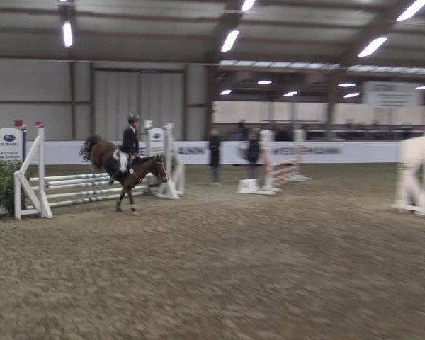 Reitturnier Barlo-Bocholt 2023