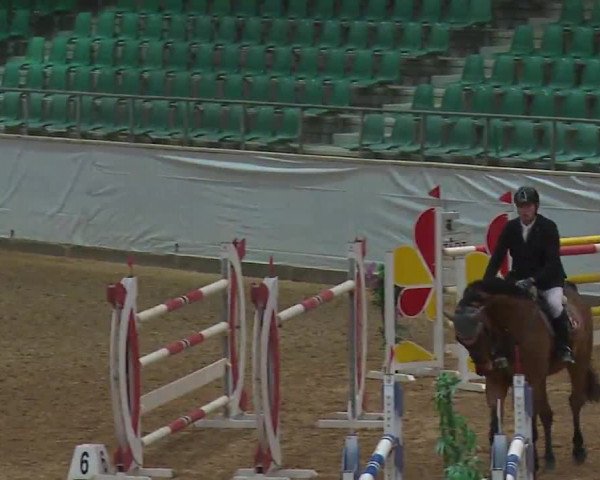 Reitturnier Kreuth 2023