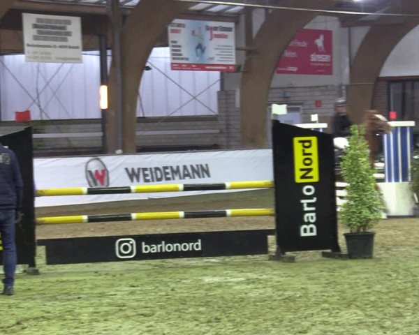 Reitturnier Barlo-Bocholt 2023