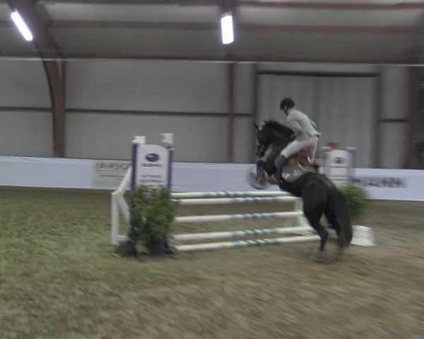Reitturnier Barlo-Bocholt 2023