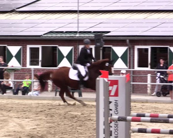 Springturnier Lüdinghausen 2021
