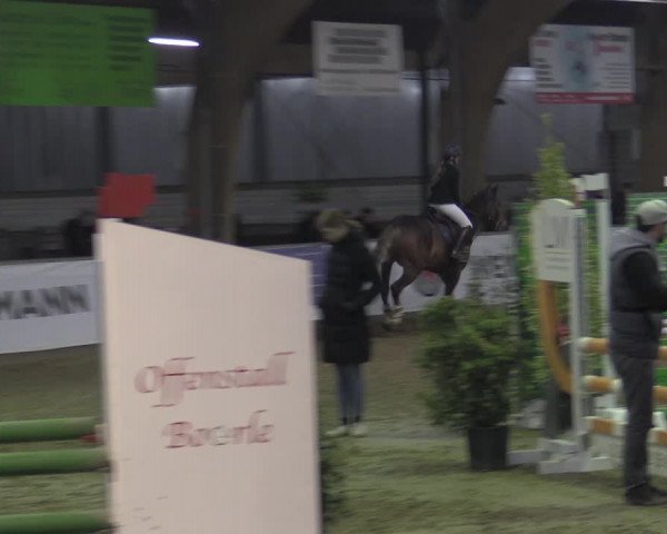 Reitturnier Barlo-Bocholt 2023