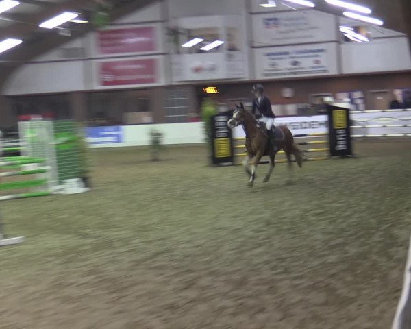 Reitturnier Barlo-Bocholt 2023