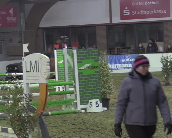 Reitturnier Barlo-Bocholt 2023