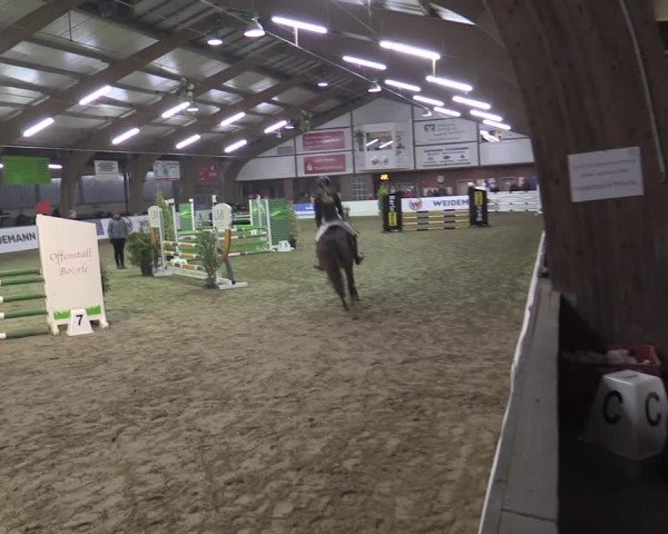 Reitturnier Barlo-Bocholt 2023