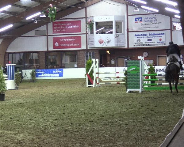 Reitturnier Barlo-Bocholt 2023