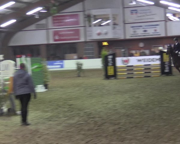 Reitturnier Barlo-Bocholt 2023