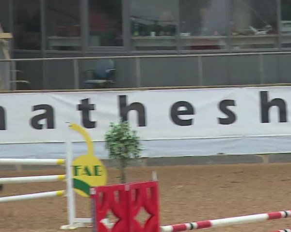 Reitturnier Kreuth 2023